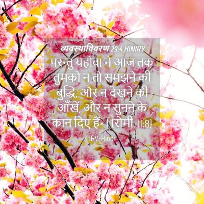 Picture 04 - व्यवस्थाविवरण 29:4 HINIRV - परन्तु यहोवा ने आज - Bible Verse Picture