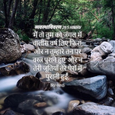 Picture 04 - व्यवस्थाविवरण 29:5 HINIRV - मैं तो तुम को जंगल - Bible Verse Picture