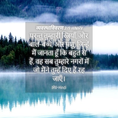 Picture 04 - व्यवस्थाविवरण 3:19 HINIRV - परन्तु तुम्हारी - Bible Verse Picture