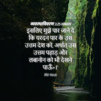 Picture 04 - व्यवस्थाविवरण 3:25 HINIRV - इसलिए मुझे पार - Bible Verse Picture