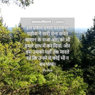 Picture 04 - व्यवस्थाविवरण 3:3 HINIRV - इस प्रकार हमारे - Bible Verse Picture