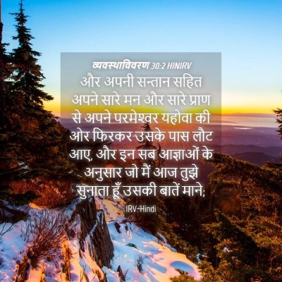 Picture 04 - व्यवस्थाविवरण 30:2 HINIRV - और अपनी सन्तान - Bible Verse Picture