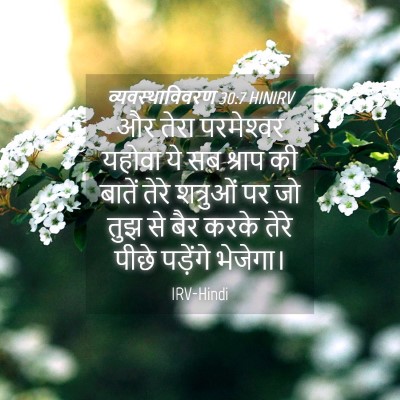 Picture 04 - व्यवस्थाविवरण 30:7 HINIRV - और तेरा परमेश्‍वर - Bible Verse Picture