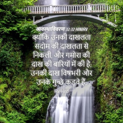 Picture 04 - व्यवस्थाविवरण 32:32 HINIRV - क्योंकि उनकी - Bible Verse Picture