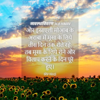 Picture 04 - व्यवस्थाविवरण 34:8 HINIRV - और इस्राएली मोआब - Bible Verse Picture