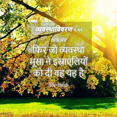 Picture 04 - व्यवस्थाविवरण 4:44 HINIRV - फिर जो व्यवस्था - Bible Verse Picture
