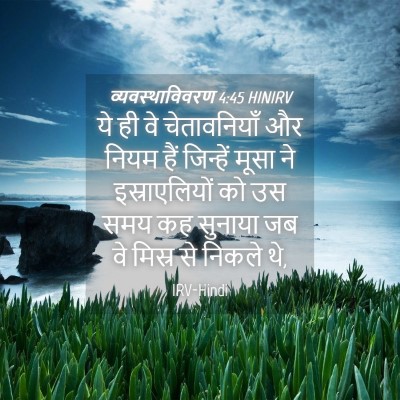 Picture 04 - व्यवस्थाविवरण 4:45 HINIRV - ये ही वे - Bible Verse Picture