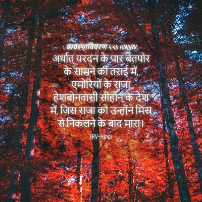 Picture 04 - व्यवस्थाविवरण 4:46 HINIRV - अर्थात् यरदन के - Bible Verse Picture