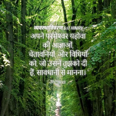 Picture 04 - व्यवस्थाविवरण 6:17 HINIRV - अपने परमेश्‍वर - Bible Verse Picture