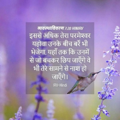 Picture 04 - व्यवस्थाविवरण 7:20 HINIRV - इससे अधिक तेरा - Bible Verse Picture