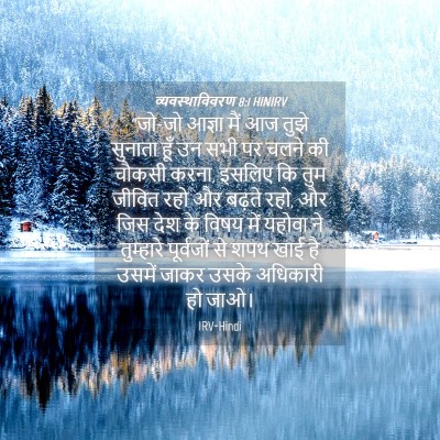 Picture 04 - व्यवस्थाविवरण 8:1 HINIRV - “जो-जो आज्ञा मैं आज - Bible Verse Picture