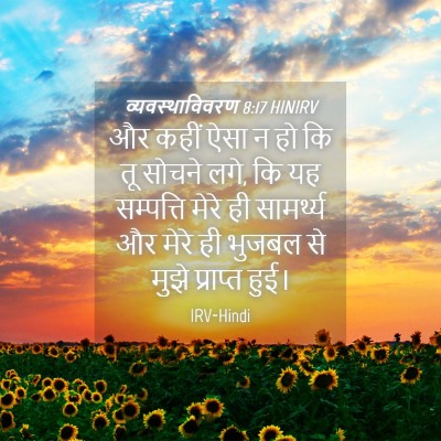 Picture 04 - व्यवस्थाविवरण 8:17 HINIRV - और कहीं ऐसा न हो कि - Bible Verse Picture