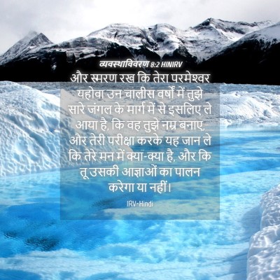Picture 04 - व्यवस्थाविवरण 8:2 HINIRV - और स्मरण रख कि तेरा - Bible Verse Picture