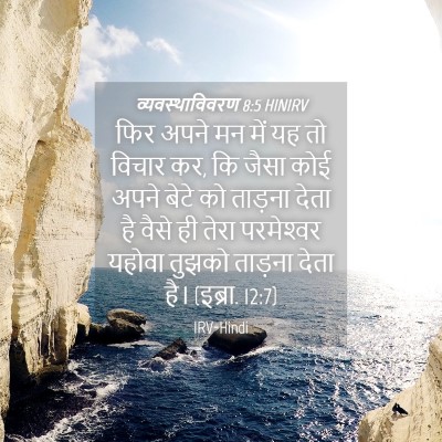 Picture 04 - व्यवस्थाविवरण 8:5 HINIRV - फिर अपने मन में यह - Bible Verse Picture