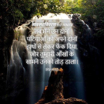 Picture 04 - व्यवस्थाविवरण 9:17 HINIRV - तब मैंने उन दोनों - Bible Verse Picture