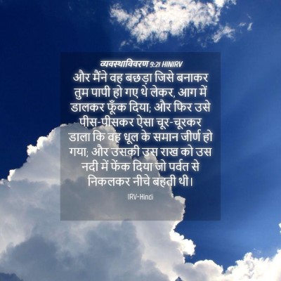 Picture 04 - व्यवस्थाविवरण 9:21 HINIRV - और मैंने वह बछड़ा - Bible Verse Picture