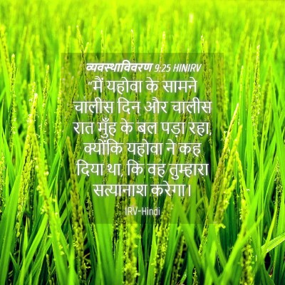 Picture 04 - व्यवस्थाविवरण 9:25 HINIRV - “मैं यहोवा के - Bible Verse Picture