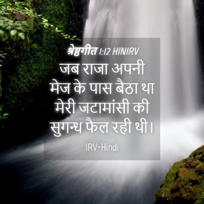 Picture 04 - श्रेष्ठगीत 1:12 HINIRV - जब राजा अपनी मेज के - Bible Verse Picture