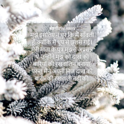 Picture 04 - श्रेष्ठगीत 1:6 HINIRV - मुझे इसलिए न घूर कि - Bible Verse Picture