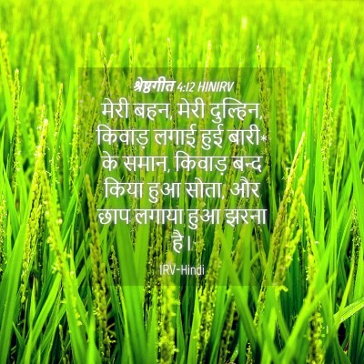 Picture 04 - श्रेष्ठगीत 4:12 HINIRV - मेरी बहन, मेरी - Bible Verse Picture