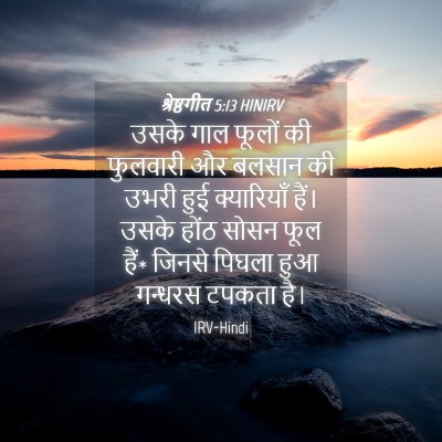 Picture 04 - श्रेष्ठगीत 5:13 HINIRV - उसके गाल फूलों की - Bible Verse Picture
