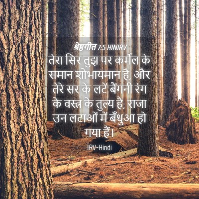 Picture 04 - श्रेष्ठगीत 7:5 HINIRV - तेरा सिर तुझ पर - Bible Verse Picture