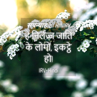 Picture 04 - सपन्याह 2:1 HINIRV - हे निर्लज्ज जाति - Bible Verse Picture