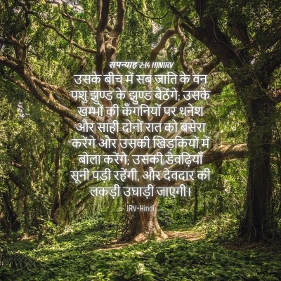 Picture 04 - सपन्याह 2:14 HINIRV - उसके बीच में सब - Bible Verse Picture