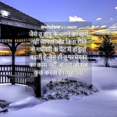 Picture 04 - सभोपदेशक 11:5 HINIRV - जैसे तू वायु के - Bible Verse Picture