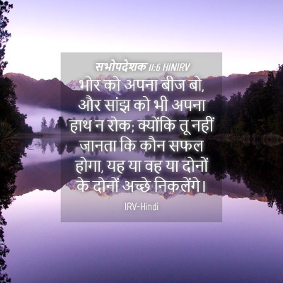 Picture 04 - सभोपदेशक 11:6 HINIRV - भोर को अपना बीज बो, - Bible Verse Picture
