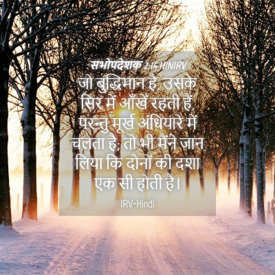 Picture 04 - सभोपदेशक 2:14 HINIRV - जो बुद्धिमान है, - Bible Verse Picture