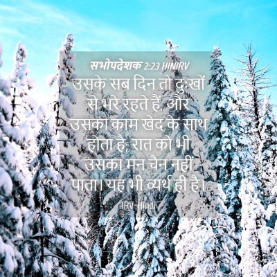 Picture 04 - सभोपदेशक 2:23 HINIRV - उसके सब दिन तो - Bible Verse Picture
