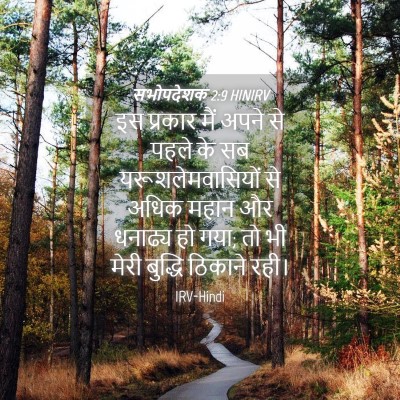 Picture 04 - सभोपदेशक 2:9 HINIRV - इस प्रकार मैं अपने - Bible Verse Picture