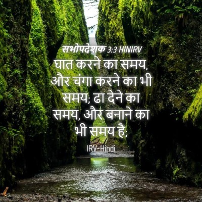 Picture 04 - सभोपदेशक 3:3 HINIRV - घात करने का समय, और - Bible Verse Picture