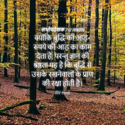 Picture 04 - सभोपदेशक 7:12 HINIRV - क्योंकि बुद्धि की - Bible Verse Picture