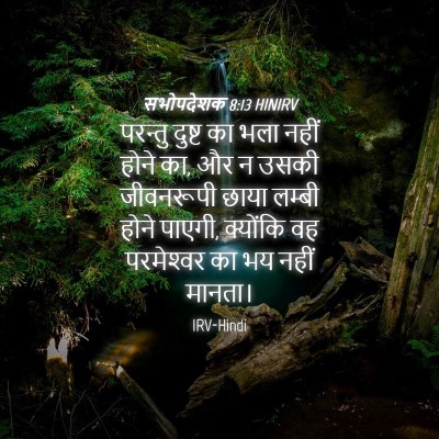 Picture 04 - सभोपदेशक 8:13 HINIRV - परन्तु दुष्ट का - Bible Verse Picture