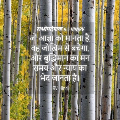 Picture 04 - सभोपदेशक 8:5 HINIRV - जो आज्ञा को मानता - Bible Verse Picture