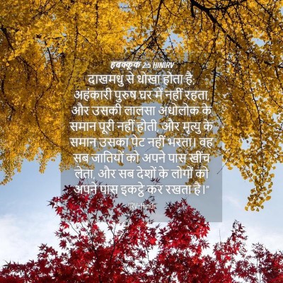 Picture 04 - हबक्कूक 2:5 HINIRV - दाखमधु से धोखा - Bible Verse Picture