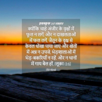 Picture 04 - हबक्कूक 3:17 HINIRV - क्योंकि चाहे - Bible Verse Picture
