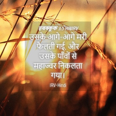 Picture 04 - हबक्कूक 3:5 HINIRV - उसके आगे-आगे मरी - Bible Verse Picture