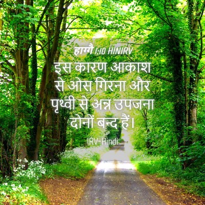 Picture 04 - हाग्गै 1:10 HINIRV - इस कारण आकाश से ओस - Bible Verse Picture