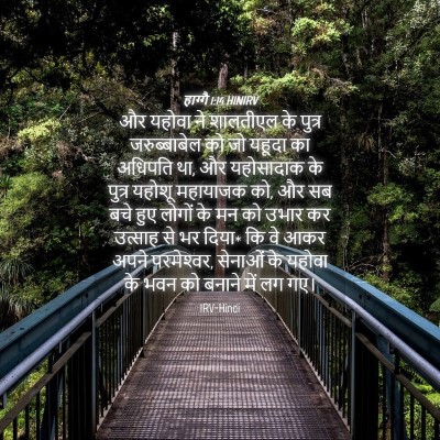 Picture 04 - हाग्गै 1:14 HINIRV - और यहोवा ने - Bible Verse Picture