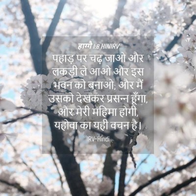 Picture 04 - हाग्गै 1:8 HINIRV - पहाड़ पर चढ़ जाओ और - Bible Verse Picture