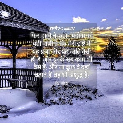 Picture 04 - हाग्गै 2:14 HINIRV - फिर हाग्गै ने कहा, - Bible Verse Picture