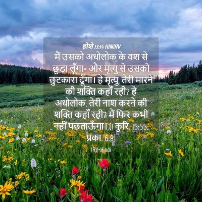 Picture 04 - होशे 13:14 HINIRV - मैं उसको अधोलोक के - Bible Verse Picture