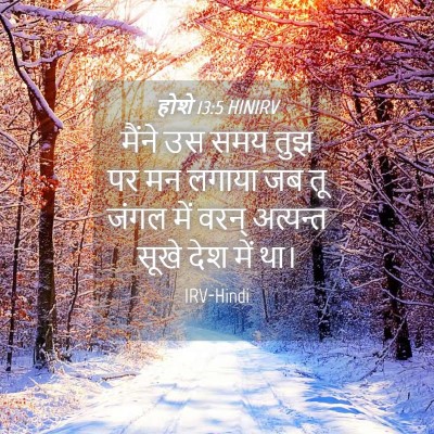 Picture 04 - होशे 13:5 HINIRV - मैंने उस समय तुझ पर - Bible Verse Picture