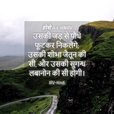 Picture 04 - होशे 14:6 HINIRV - उसकी जड़ से पौधे - Bible Verse Picture