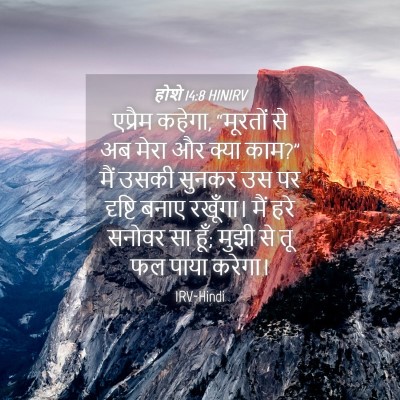 Picture 04 - होशे 14:8 HINIRV - एप्रैम कहेगा, - Bible Verse Picture