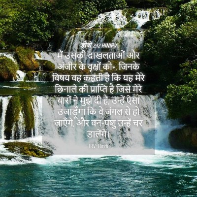 Picture 04 - होशे 2:12 HINIRV - मैं उसकी दाखलताओं - Bible Verse Picture