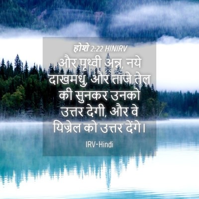 Picture 04 - होशे 2:22 HINIRV - और पृथ्वी अन्न, नये - Bible Verse Picture
